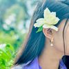 towsiba_jahan_nilima