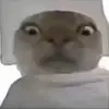 bangchalang3