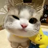 cherryxinggaii