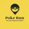 poke.run_dipp
