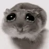 toktik.ai3