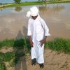 user344113097369