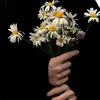 asm_aa20091