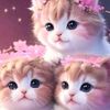 muhammed.hamza768