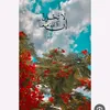 rr_ooss