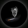 user278035684