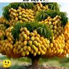 fikadudawit785