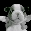 poo.poo.org