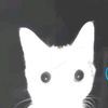 user_12232350