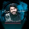 alaa313c0