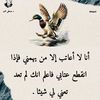 user81504412801037