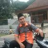 aly11195
