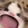 yeubtkvsawm