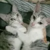 .khyrie