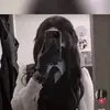elaizajutt2