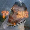 2.0taurus37