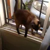 monicapatriciafer8