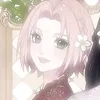 harqnp_sakura