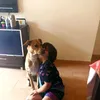 adopt.me5875