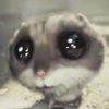 hi_random_person07