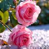 user5811957340914