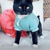freddiemerkitty