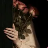 liirv_