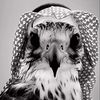 battal_11595