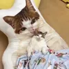 catsandlies