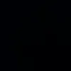 thiagoherrera738
