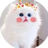 tanisha.akhter.mim1