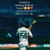 cricket.line25