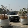 safariwithstyle