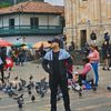 dcastro08_