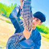 user74936381218167