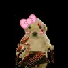 clawzin4