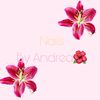 nailsbyandrea02