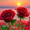 jim.ahmed49