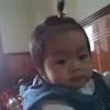 .linnn24