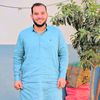 amir.hamza3275