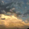 monki_d_katia