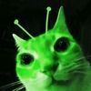nose_23001