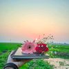 love790472