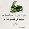 user9929206804446