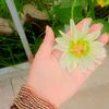 user059354790