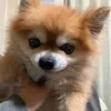 tarokun1018