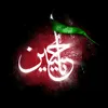 haidar30667