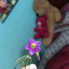 isuuu087