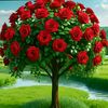 user5402501061531