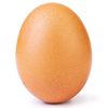 telor811